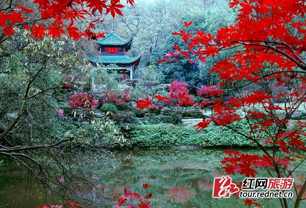 岳麓山秋色 资料图