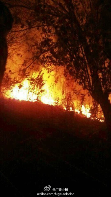 大一男生向女生放烟花表白引大火。(微博图片)