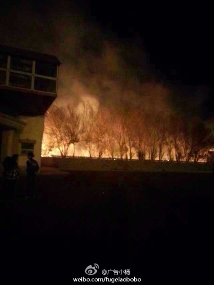 大一男生向女生放烟花表白引大火。(微博图片)