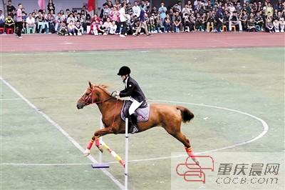 昨日，育才中学，体育文化节开幕，学生进行马术表演。重庆晨报记者 许恢毅