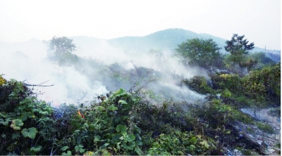   10月27日，长沙阳光100小区业主拍下的垃圾焚烧的现场图。 