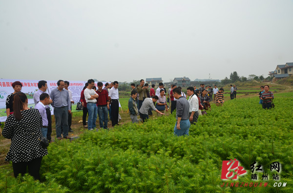 全省林木良种生产与管理培训班在靖州举办