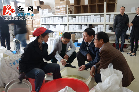 王志刚调研慈利县经济社会发展