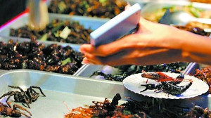 荷兰超市开卖昆虫食品有助于缓解饥荒危机（图）