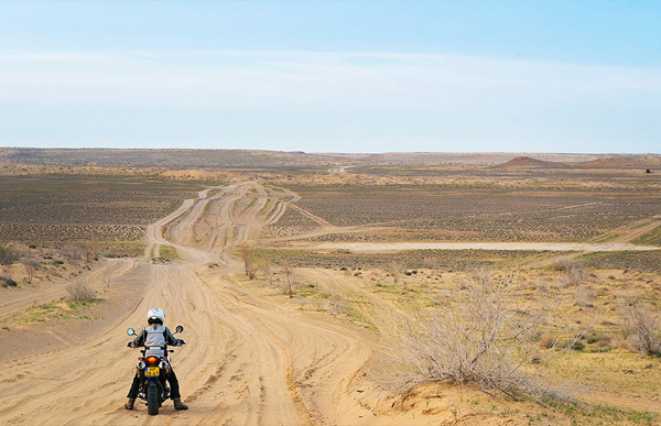 在3个月中,夫妇俩从阿姆斯特丹到达蒙古,途中经过16个国家。(网页截图)