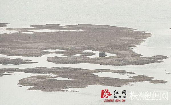  湘江株洲段将不再“裸奔”