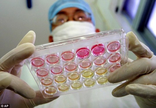 科学家解开艾滋病患者“自然痊愈”之谜(图)