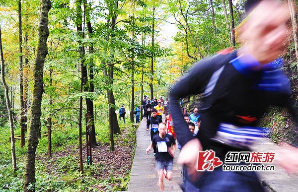黄石寨彩林初现。11月8日上午的徒步越野赛,共吸引了全国各地的参赛选手1156人参与。