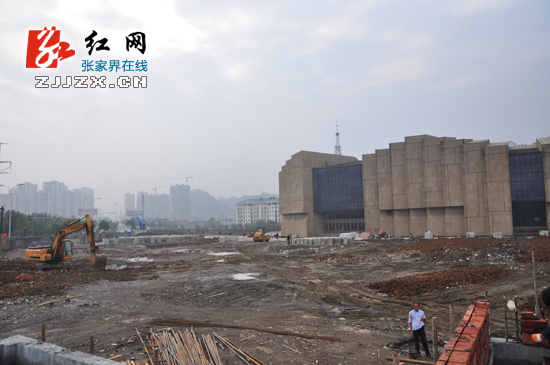 许显辉：要精益求精 让市博物馆经得住市民的检验