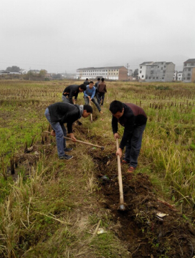 浏阳金刚镇多少人口_相约7点半 浏阳市金刚镇百名干部进农家 谋振兴(2)