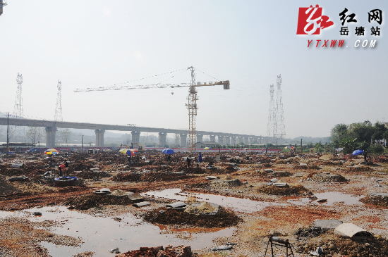 严华视察中国(中部)岳塘国际商贸城项目