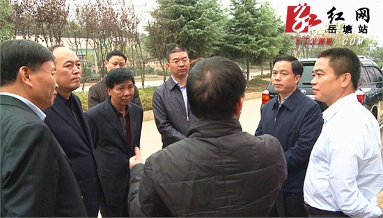 李江南对岳塘国际商贸交易中心项目建设充满信心