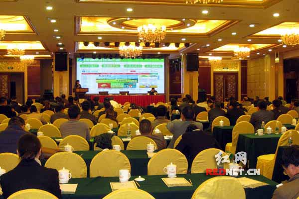 湖南省农业农村电子商务推进对接会现场。