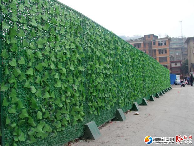 邵阳市城区占道施工绿篱围挡为城市增添绿色风景