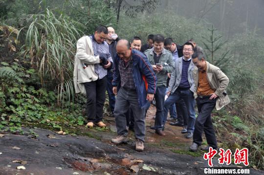 专家组实地考察最新发现的恐龙脚印朱茂摄