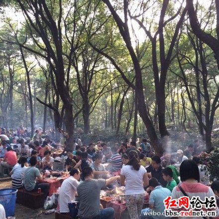 长沙南郊公园树林下设烧烤场,网友担心树木因烟熏油污失去生气。