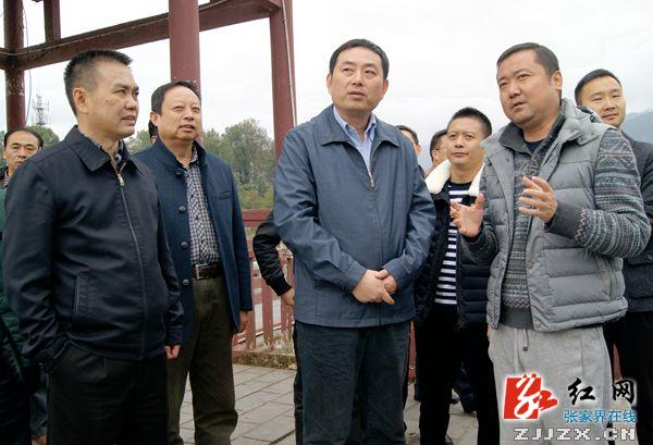 王志刚调研武陵源区经济社会发展情况