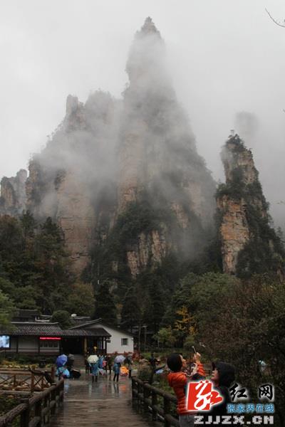 赏红叶观云海 张家界核心景区初冬美景变幻惹人醉