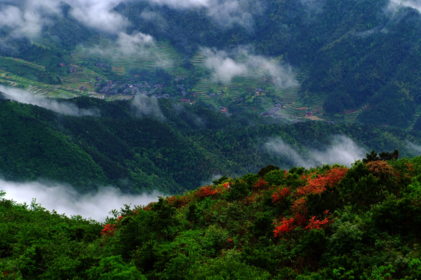 【发现美丽湖南】黄桑国家自然保护区_湖南频道_红网