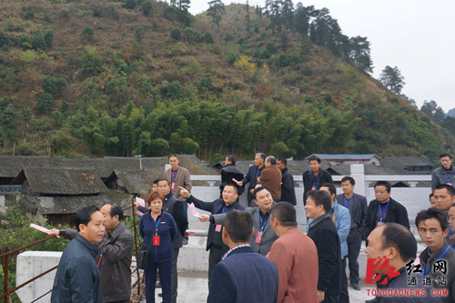 通道县县溪镇"两代表一委员"调研视察 小城镇建设