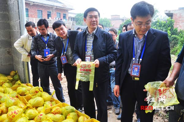 向农户了解情况。