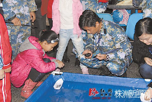 学生正在进行“纸船载重”比赛(通讯员 肖红 供图)