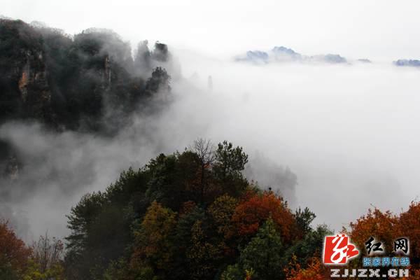 张家界武陵源核心景区门票今起推出三大优惠“让利”游客