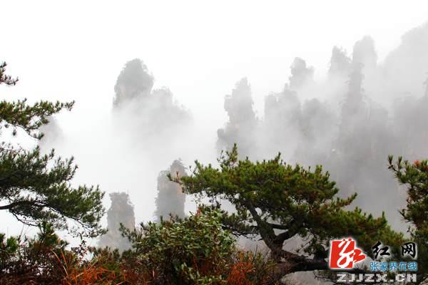 张家界武陵源核心景区门票今起推出三大优惠“让利”游客