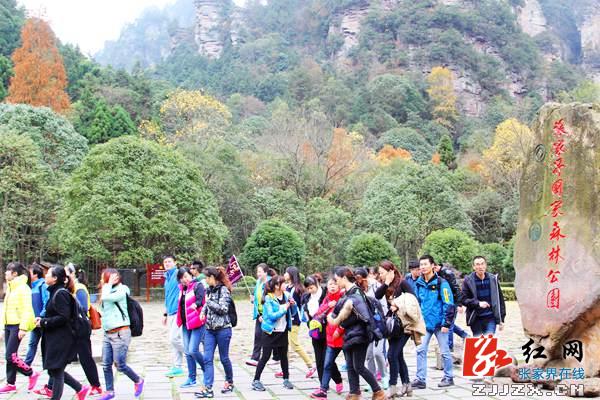 张家界武陵源核心景区门票今起推出三大优惠“让利”游客