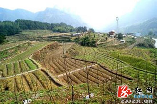 武陵源区:城乡互助共建美好家园 三年投入1.4亿