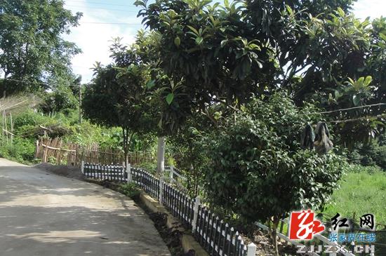 武陵源区:城乡互助共建美好家园 三年投入1.4亿