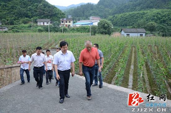 武陵源区:城乡互助共建美好家园 三年投入1.4亿