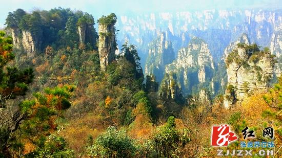 武陵源核心风景区初冬美景醉游客