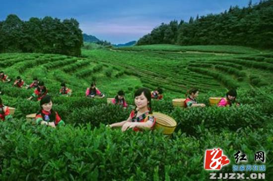 武陵源区农技推广项目惠民生 三大产业稳步发展