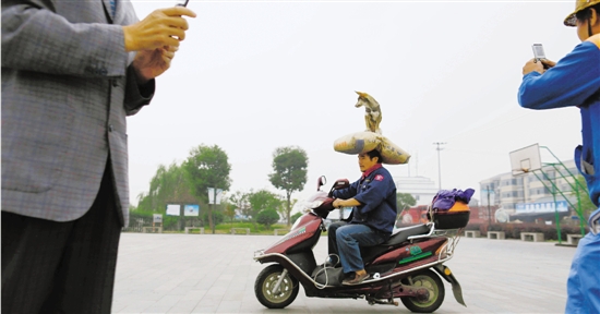 在公园广场，老蔡顶着水泥袋和狗，吸引路人拍照。