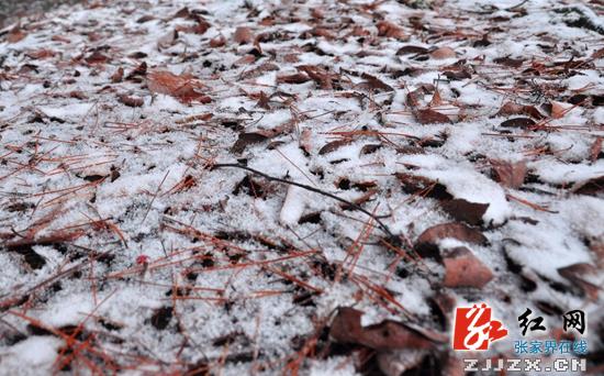 张家界武陵源景区迎来首场冬雪 旅游接待正常有序