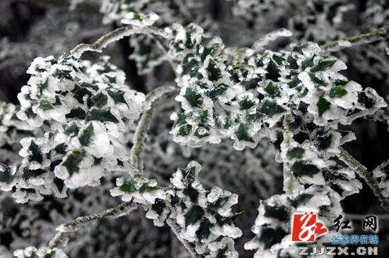 张家界武陵源景区迎来首场冬雪 旅游接待正常有序