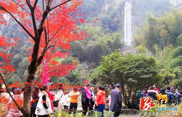 武陵源“三驾马车”促旅游经济强势回升