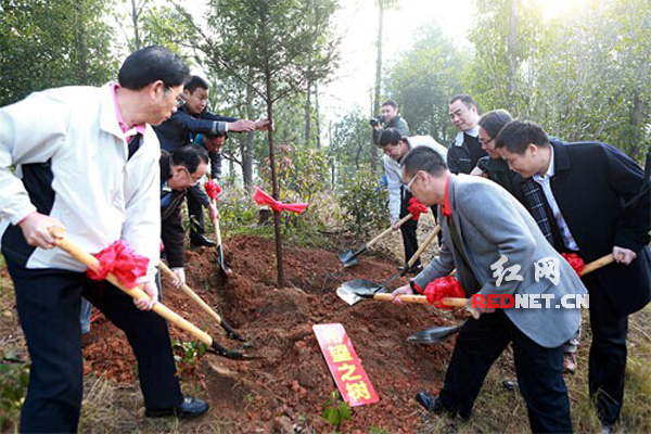 参加活动的领导和师生共同植下希望之树。