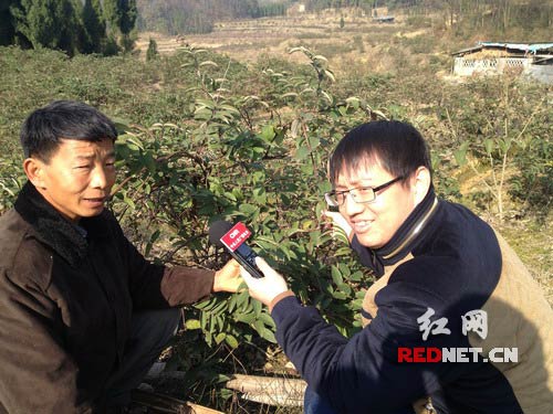 隆回县雨山镇沙溪村花农刘任存在接受中央人民广播电台记者采访。