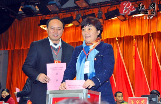 岳塘区第五届人大第三次会议胜利闭幕