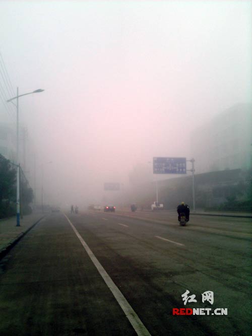 12月29日，嘉禾县迎来今冬首场大雾天气，境内道路能见度不足20米