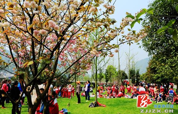 张家界黄龙洞景区14年接待人数创开放30年新高