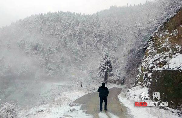 1月6日，石门县东山峰管理区迎来2015年第一场雪
