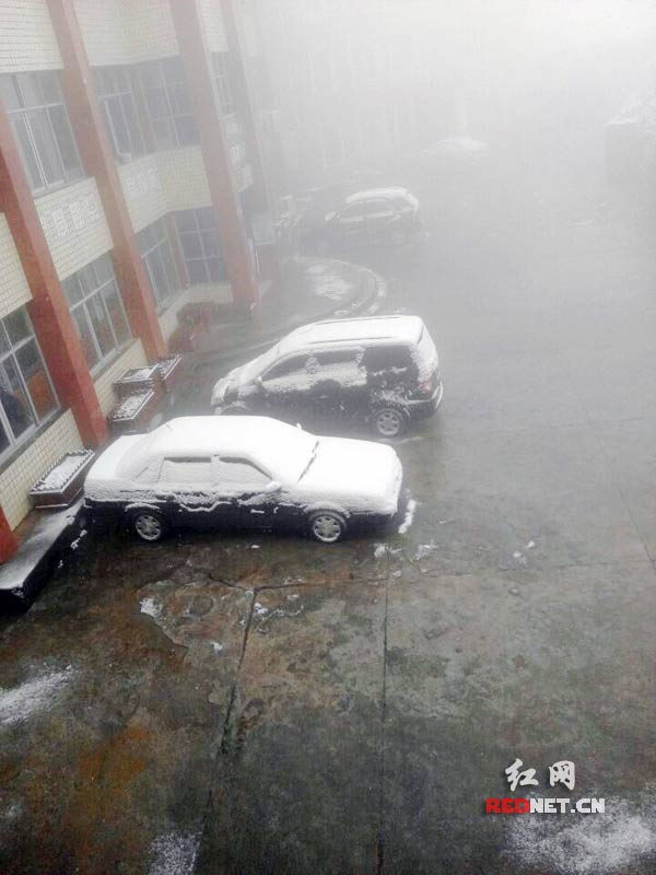 1月6日，石门县东山峰管理区迎来2015年第一场雪
