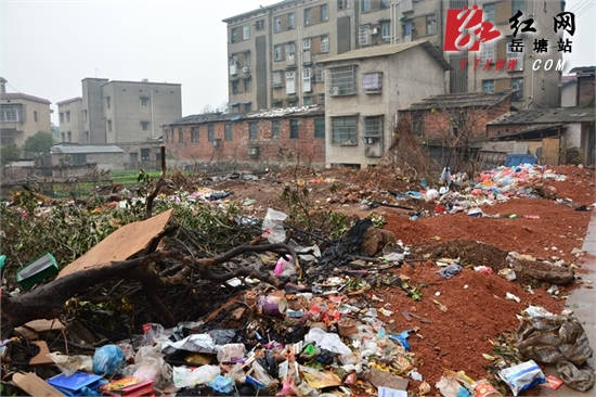 岳塘区一小区与垃圾“为邻” 社区称垃圾箱即将安装到位