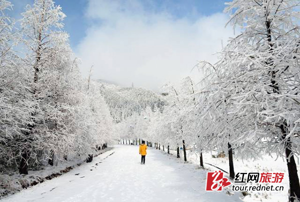 大围山雪景。景区供图