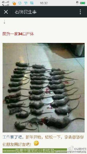 福建网民发“34只死老鼠图”称有灭门案被拘留
