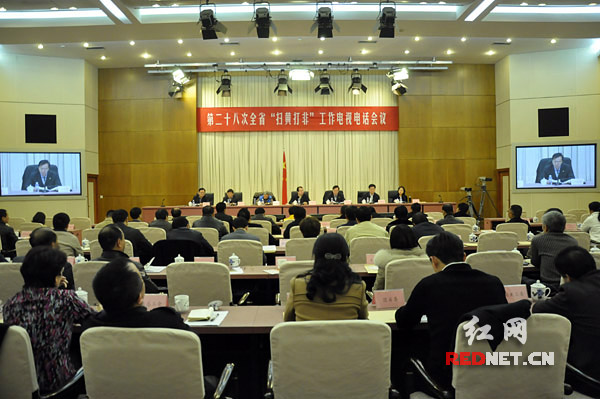 1月19日，湖南组织召开第28次全省“扫黄打非”工作电视电话会议。