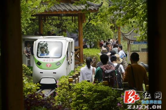 武陵源核心景区十里画廊成游客主选精品游览线